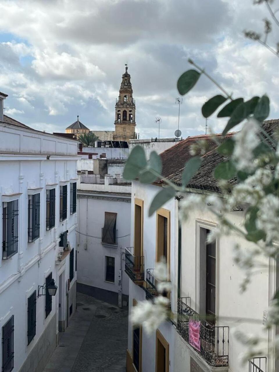 El Balcon De La Torre * Cordoue