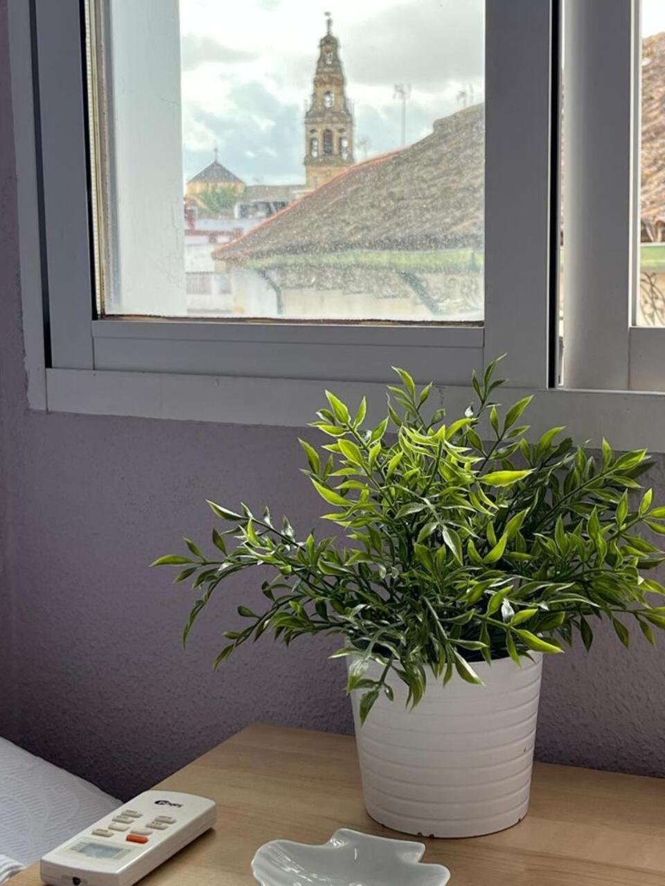 El Balcon De La Torre Appartement