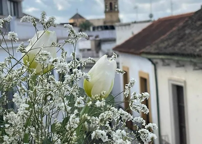 El Balcon De La Torre